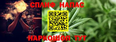 мет Ливны