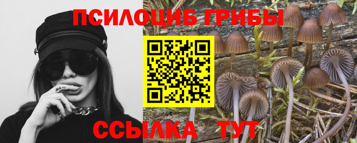 Галлюциногенные грибы Cubensis Верхняя Салда