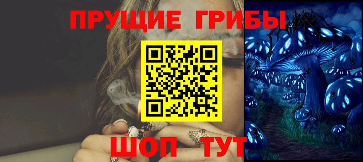 Верхняя Салда  Псилоцибиновые грибы Cubensis  Вход с VPN 