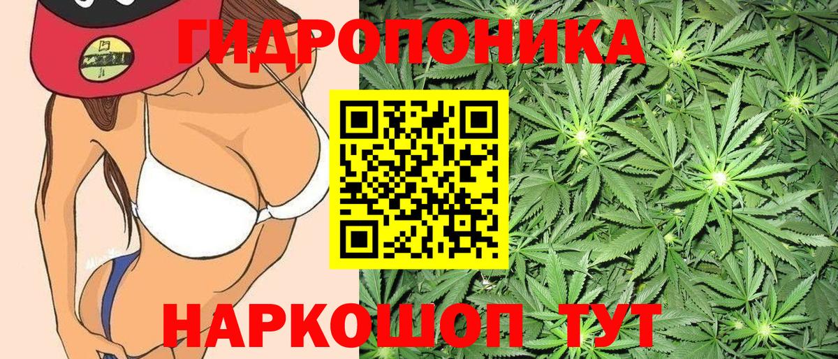 Бошки Шишки марихуана Верхняя Салда