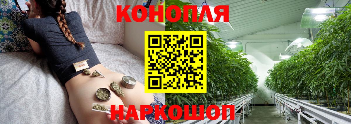 Бошки марихуана гибрид  Вход с VPN  Бошки Шишки тримм  Канабис SATIVA & INDICA  Верхняя Салда 